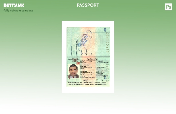 Модерен стил, сегашен шаблон за пасош на Република Нигер